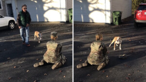 Mamma militare viene rifiutata dal suo cane al ritorno, così si toglie il cappello per un commovente riconoscimento.