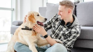 Non sono il padre del mio cane, ma sono sicuramente il suo genitore