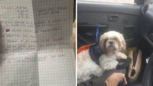 Cane abbandonato in un taxi con una lista di istruzioni trova una nuova casa