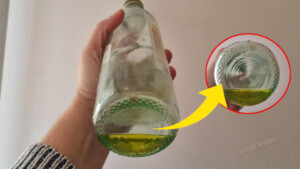 Sapete a cosa servono i puntini in rilievo sul fondo delle bottiglie? Sono lì per un motivo specifico