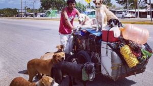 L’uomo che viaggia per il messico con una bicicletta particolare per salvare i cani randagi