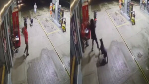 Un cane sventa un’aggressione in una stazione di servizio (Video)