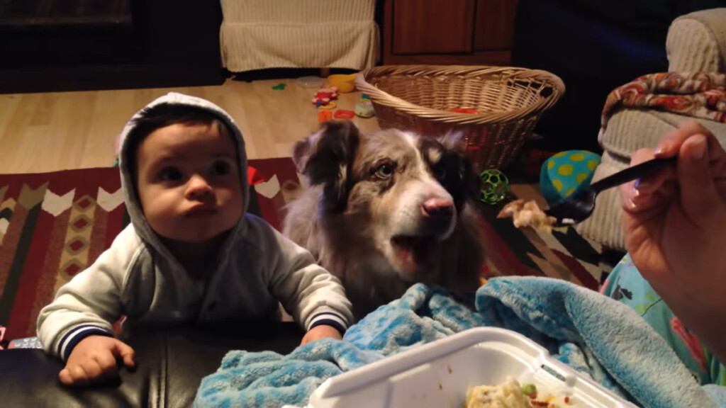 Mamma cercano di insegnare al bambino a dire "mamma", ma invece lo dice il cane