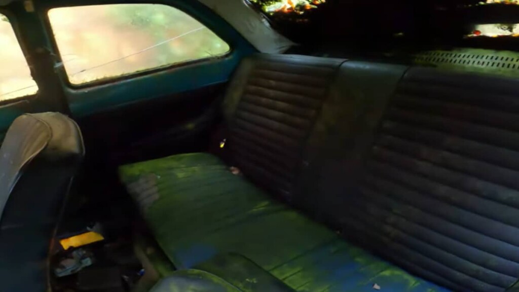 Uno Youtuber esplora un cimitero di auto abbandonate e fa una scoperta sorprendente