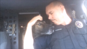 Un agente di polizia decide di adottare il cane che è stato suo partner per tanti anni, dopo che quest’ultimo è andato in pensione.