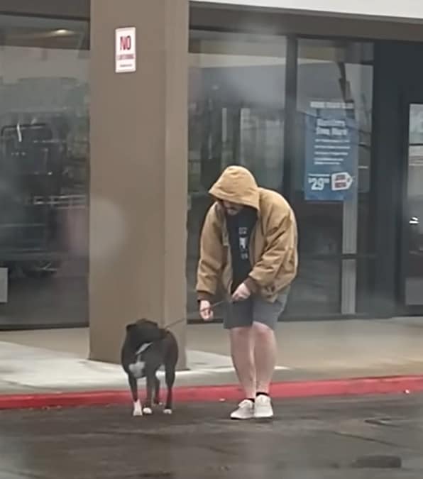 Il marito vede un cucciolo randagio nel parcheggio e va ad aiutarlo