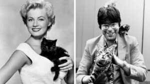 Foto retrò di celebrità del passato raffigurate in compagnia di teneri gatti