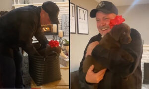 La tenera reazione di un padre al regalo della figlia: un Labrador. Un sogno diventato realtà