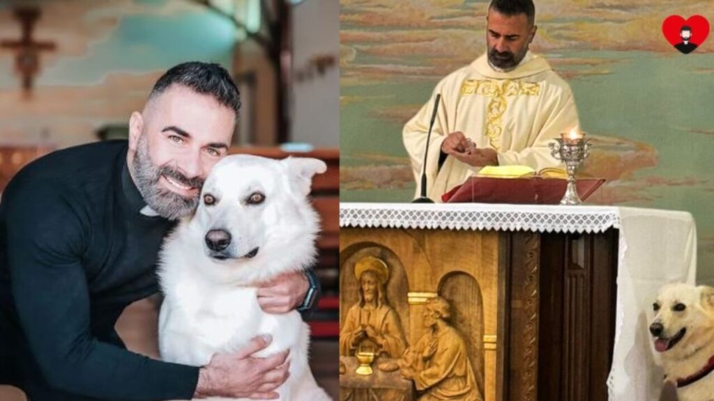 Il prete amato sui social che accoglie gli animali nella sua chiesa e lotta contro gli abbandoni