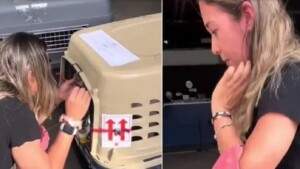 Preoccupata per il viaggio aereo dei suoi cani chiusi in stiva, quando li rivede scoppia in lacrime (Video)