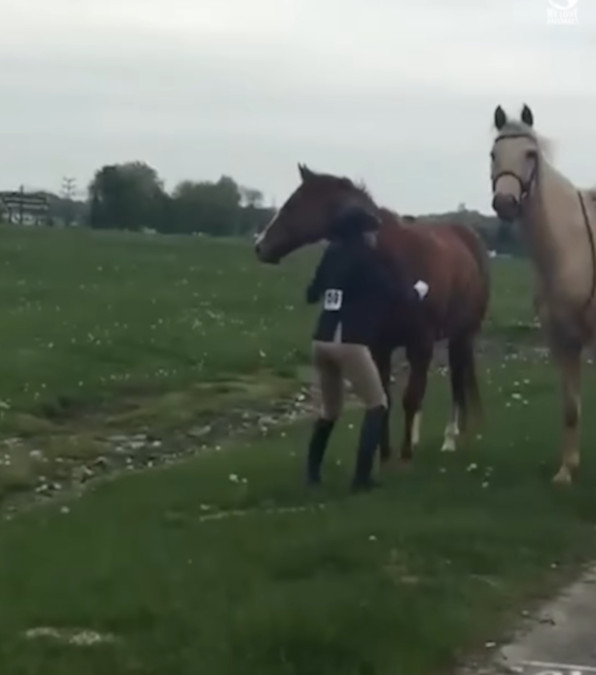 La giovane eroina che ha salvato un cavallo in fuga sull'autostrada