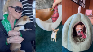 Paola Barale pazza di Rosita, la cagnolina adottata, “Mi mette di buon umore”: i video sui social