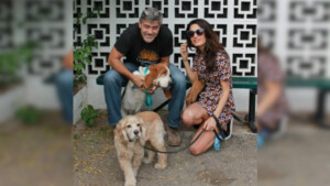 L’amore di George e Amal Clooney per i cani: dalle storie di salvataggio ai nuovi arrivi come Nelson
