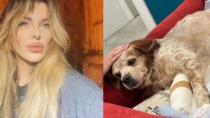 Brutto incidente per il cane di Alba Parietti “per favore dedicategli un pensiero positivo”