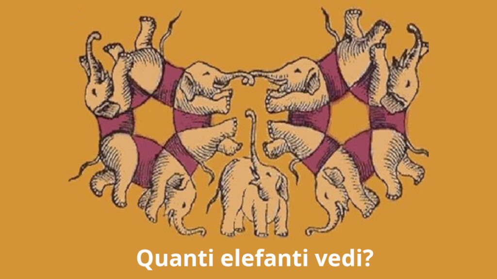 Test visivo: riesci a trovare il numero esatto degli elefanti?