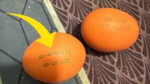 Etichette delle uova: come si leggono?