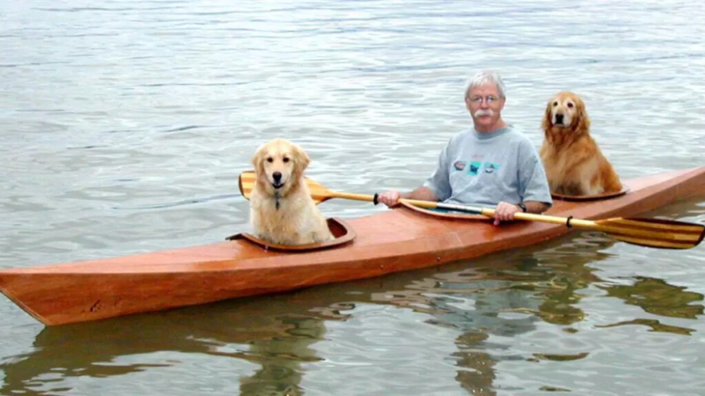 L'avventura di David e i suoi fedeli cani sul kayak