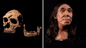 Ricostruito il volto di una donna di Neanderthal di 75.000 anni fa tramite la stampa in 3D.