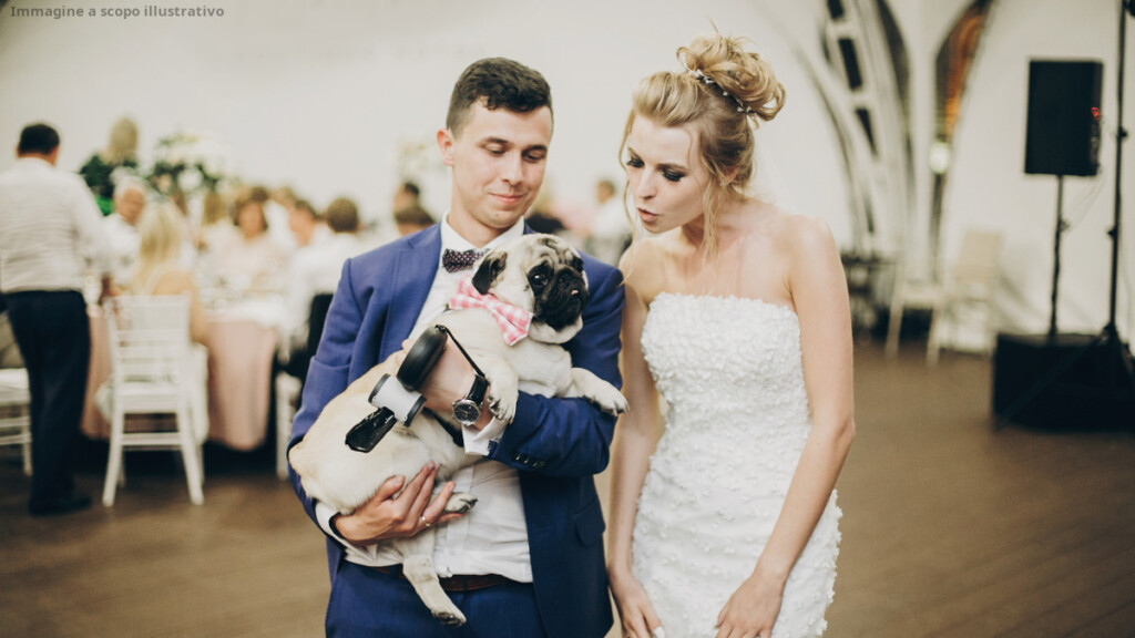 Un matrimonio pet-friendly ha suscitato discussione per l'esclusione dei bambini