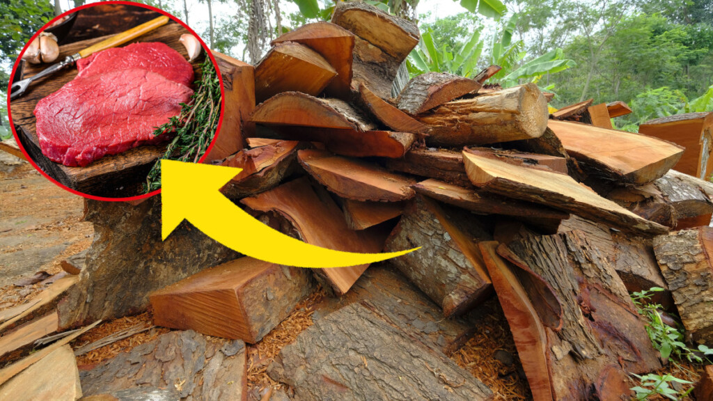 Sapevi che esiste una carne realizzata a partire dal legno?