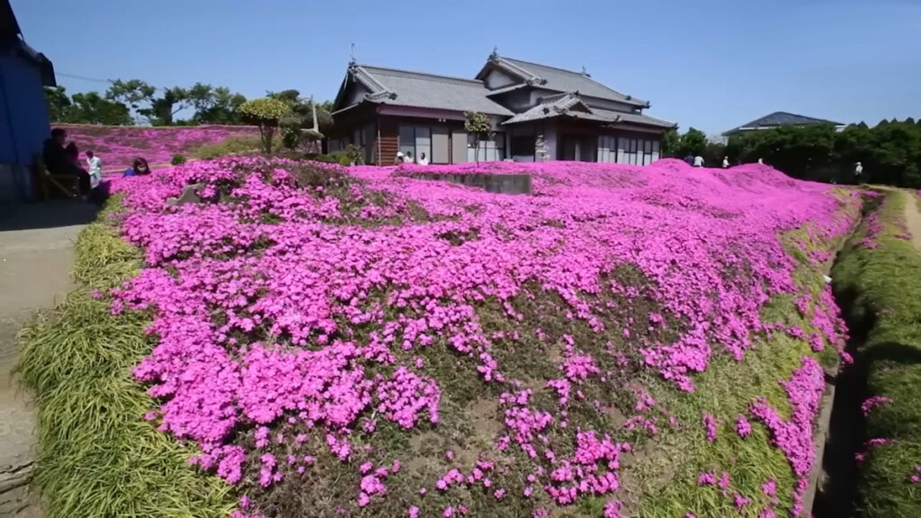 Il giardino dell'amore: La storia dei Signori Kuroki e della loro distesa di rose