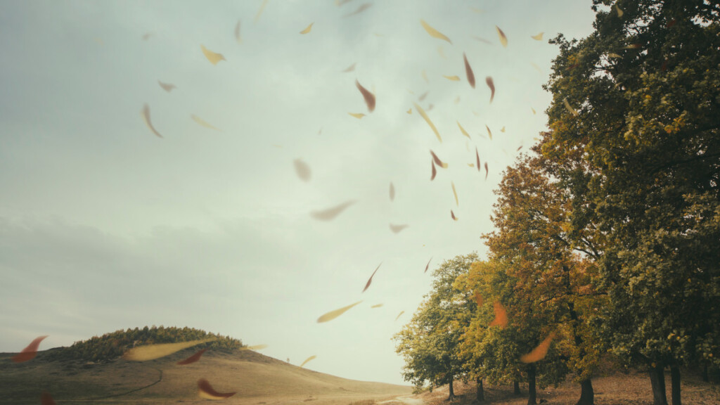 Da dove viene il Vento? Scopri i segreti di questo fenomeno naturale